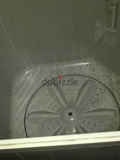 فريش حوضين جامبو بالكرتون زيروا للبيع