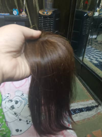 توبر جلد اوصة وجوانب شعى طبيعى بيور بيتصبغ لاى لون