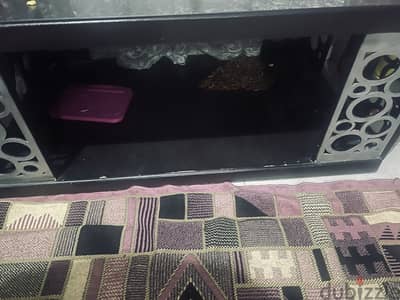 تربيزه انتريه