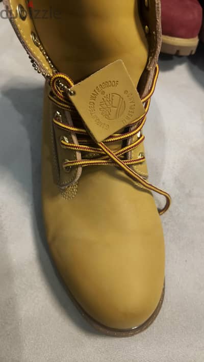 احذية timberland احذية timberland