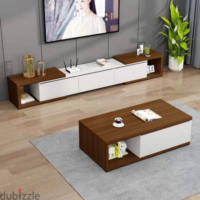 TV unit