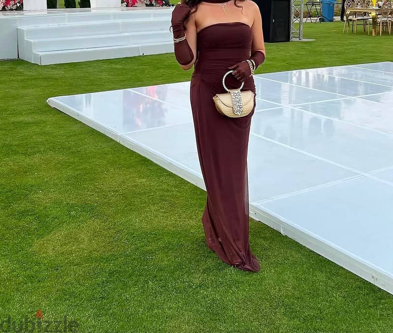 Brown dress with gloves 1