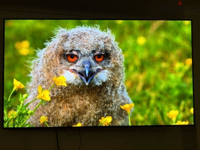 LG 65 inch OLED AI 4K, Smart TV, AI Magic remote, Dolby Vision