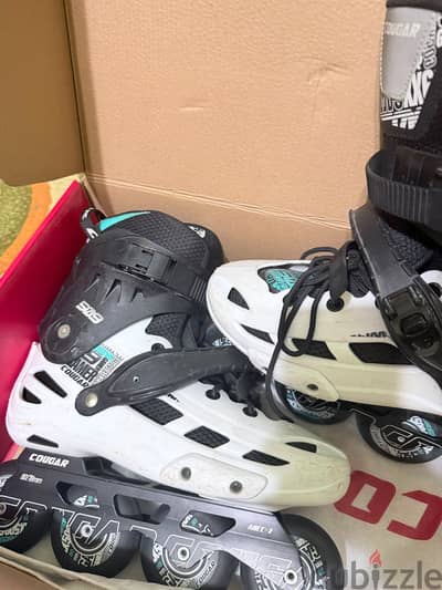 Skate couger509