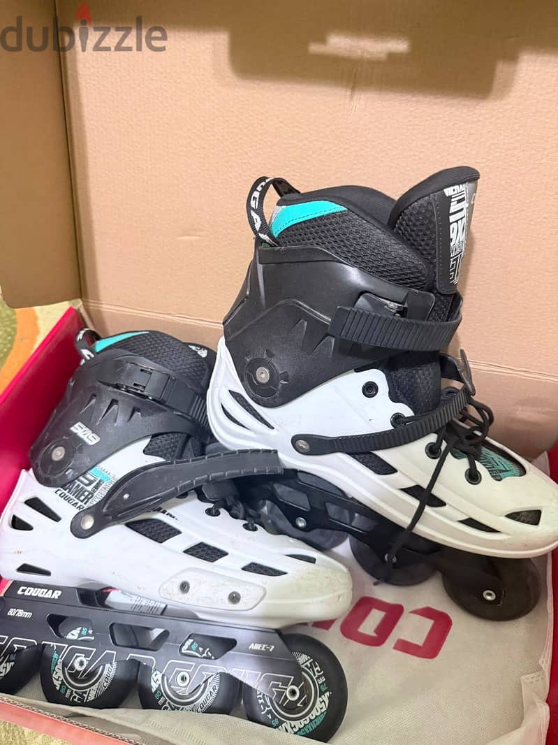 Skate couger509 2