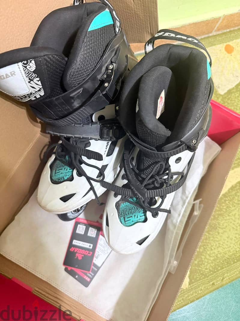 Skate couger509 3