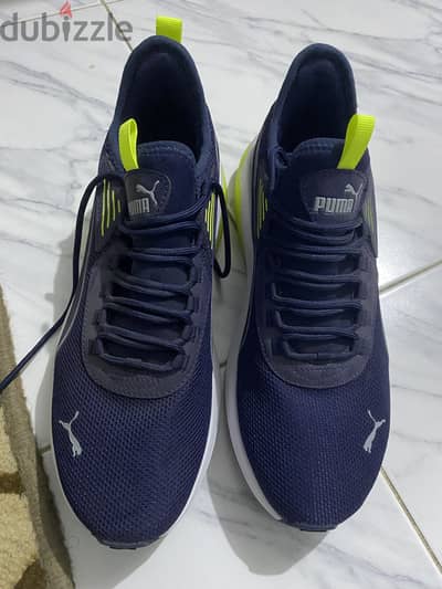 Puma وارد من امريكا