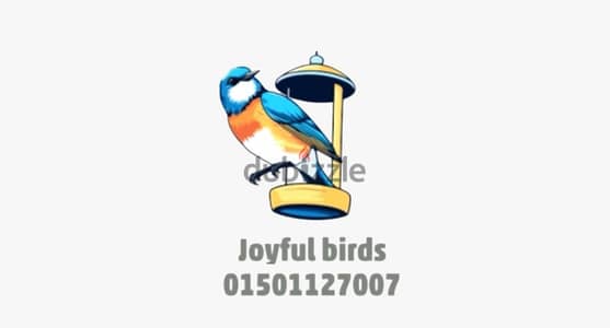 Joyful birds 01501127007