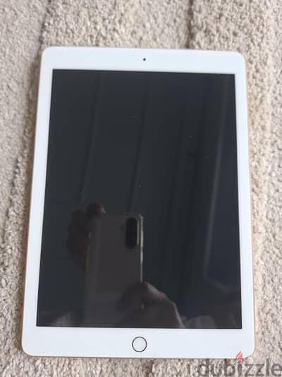 Pink- ipad Gen 6
