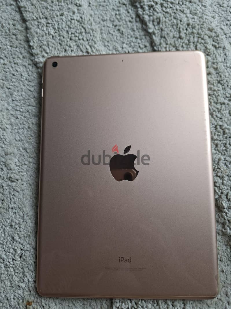 Pink- ipad Gen 6 1