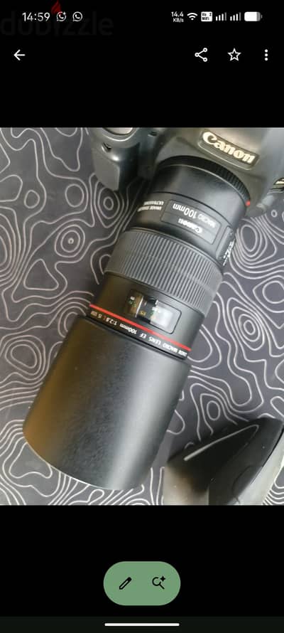 canon lens 100 macro