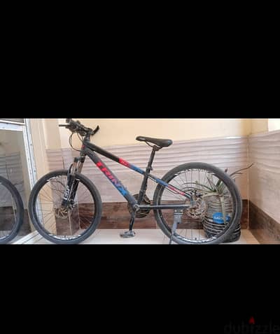 Trinx