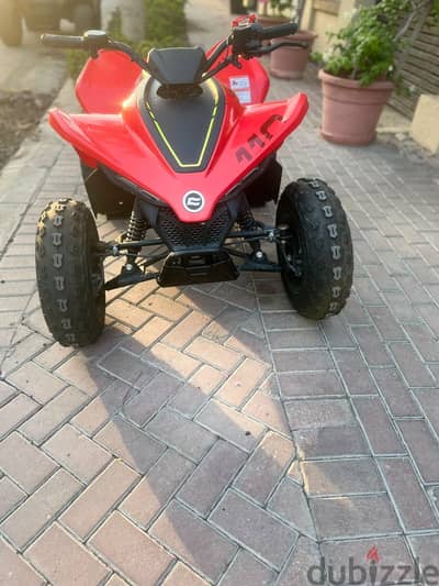 Beach buggy