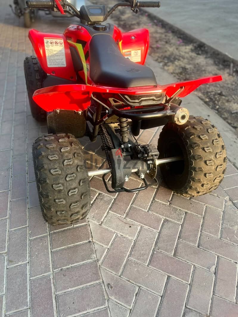 Beach buggy 3