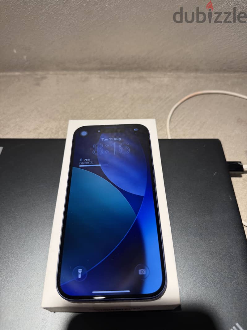 Apple - iPhone 16 256gb 1