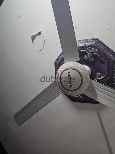 مروحة فريش راجال سقف حالة ممتازة