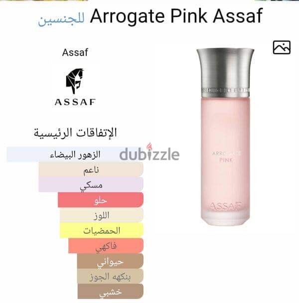 Assaf pink arrogate 2