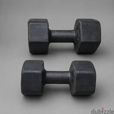 2 Dumbbells 10KG Each (20KG Total) - Rubber Coated - Sheikh Zayed