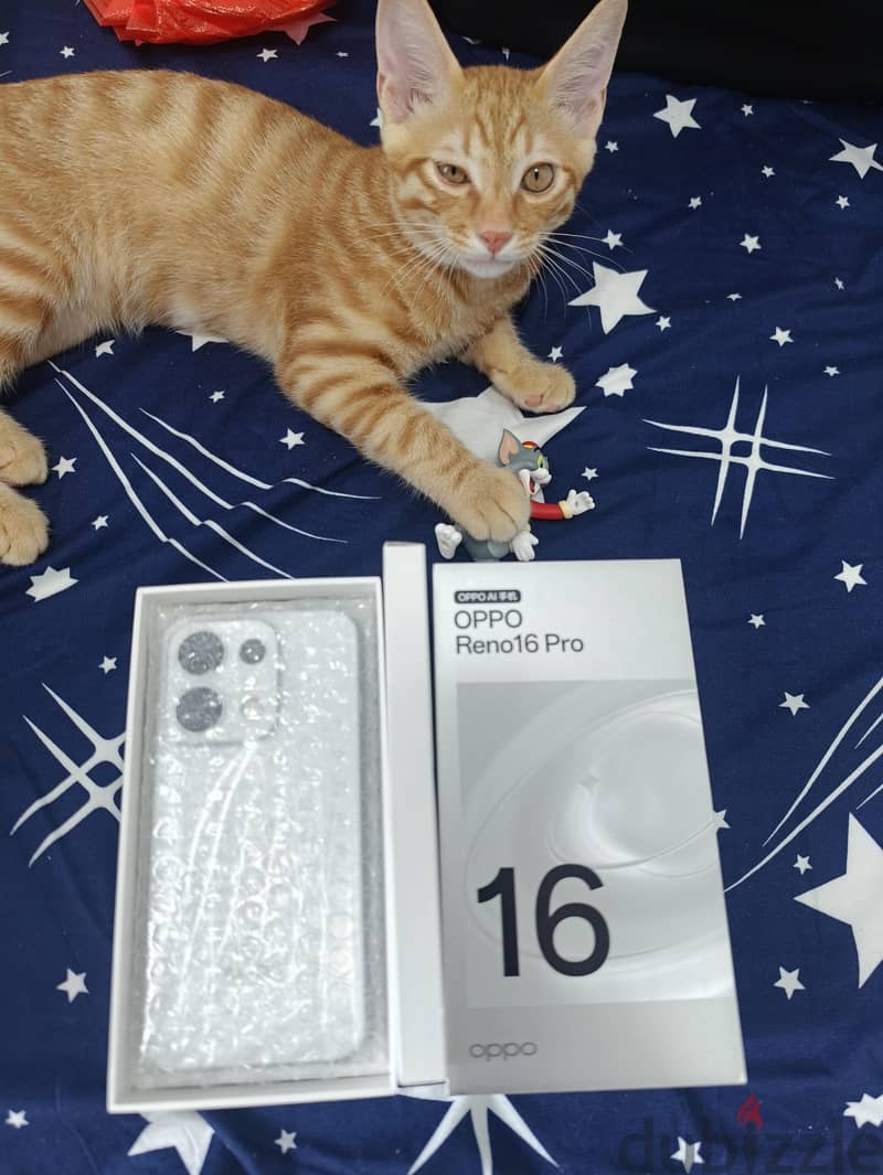 OPPO Reno16 Pro 1
