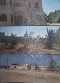 أرض لقطة فى حوض ٣ الحزام الاخضر