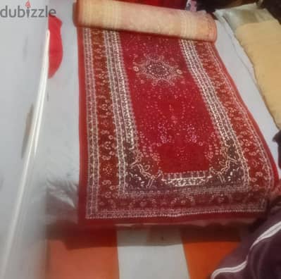 وارد السعوديه