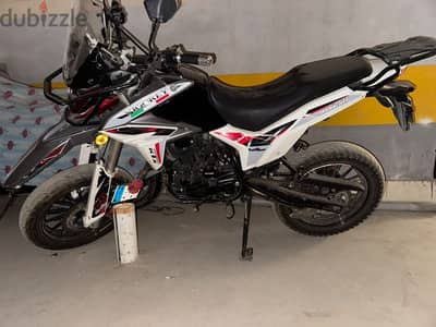 KTX 250 2025 — استخدام يوم واحد