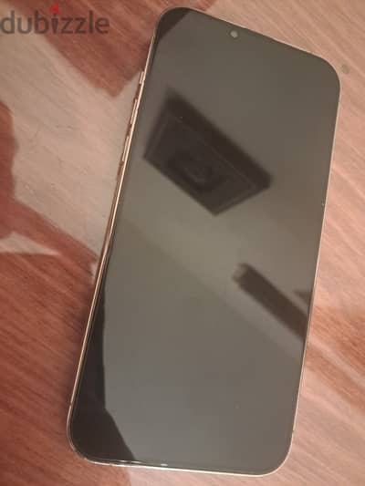 IPhone 13 pro max 256