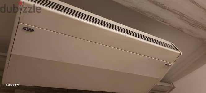 محمد حسن