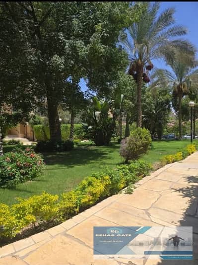 شقة مميزة للايجار في مدينه الرحاب    تشطيبات خاصه اول استخدام    بالقرب من افينيو مول وكارفور    جاهزة للاستلام والسكن الفوري   مساحة 99 متر   2 غ