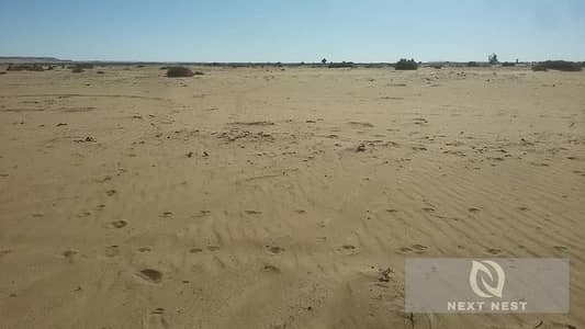 Wadi El Nile resort, Green Belt, 6th of October City, Giza, Egypt