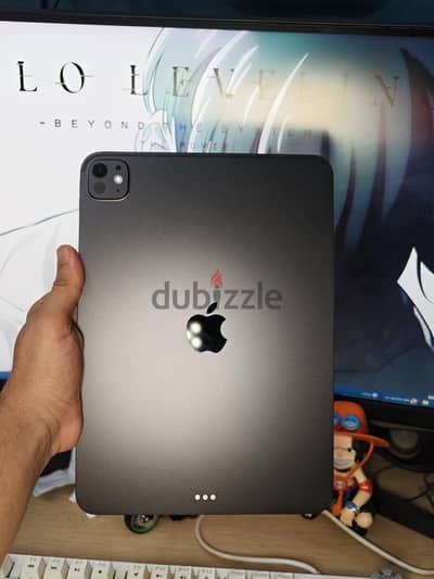 Ipad pro 11inch m5 256G كسر زيرو