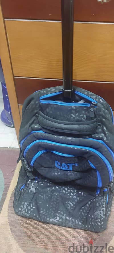 Cat brand