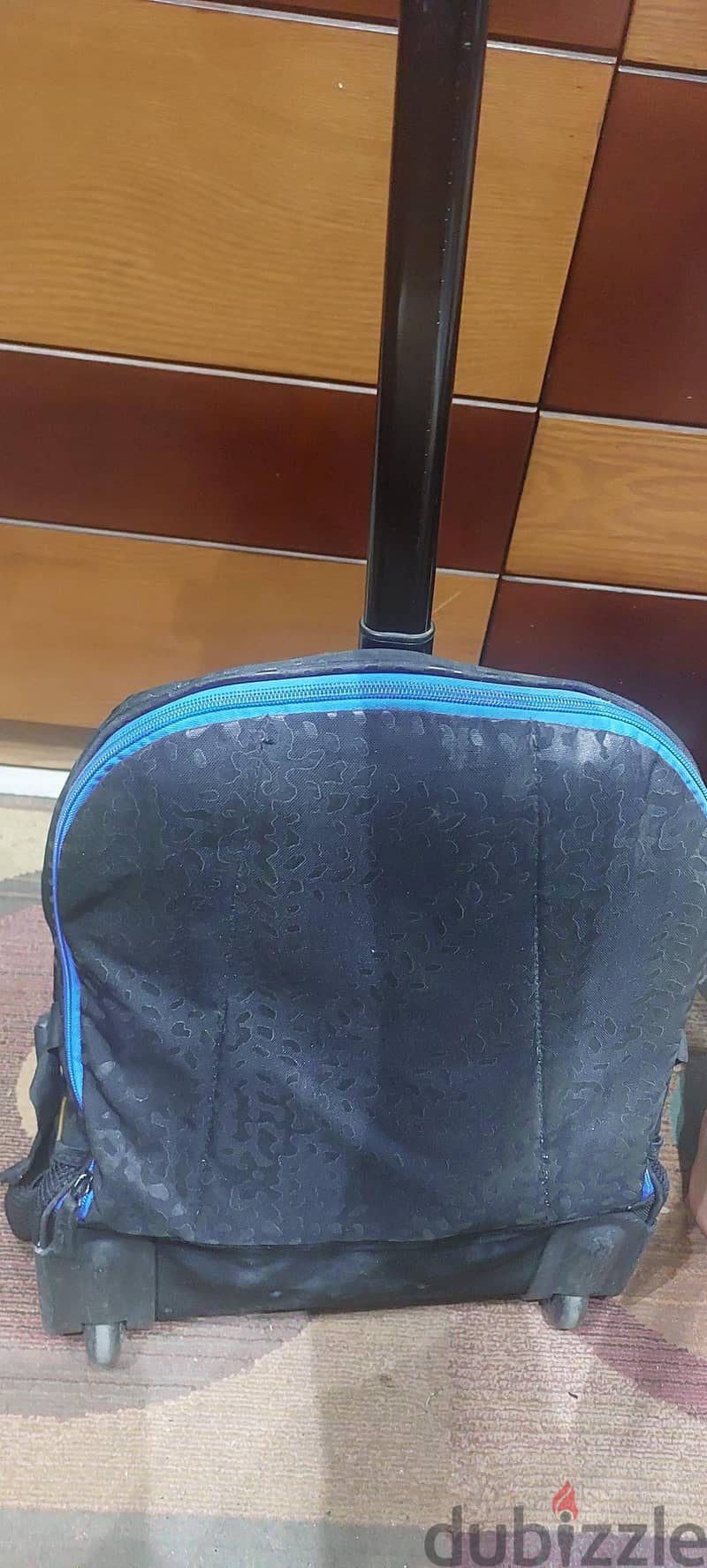 Cat brand 2