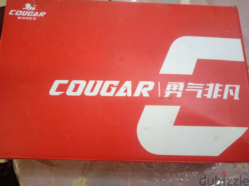 skate gougar 509 1