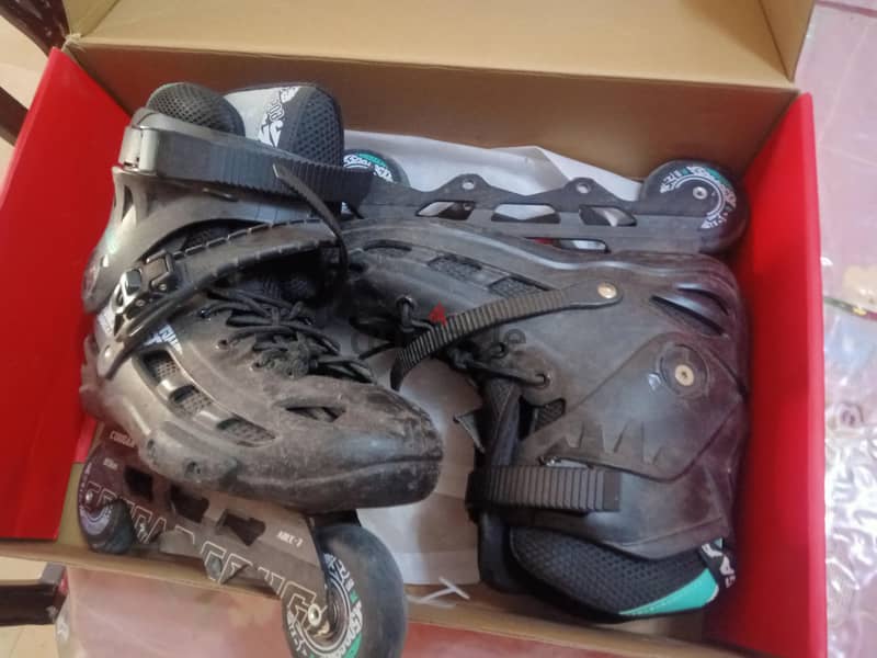 skate gougar 509 2
