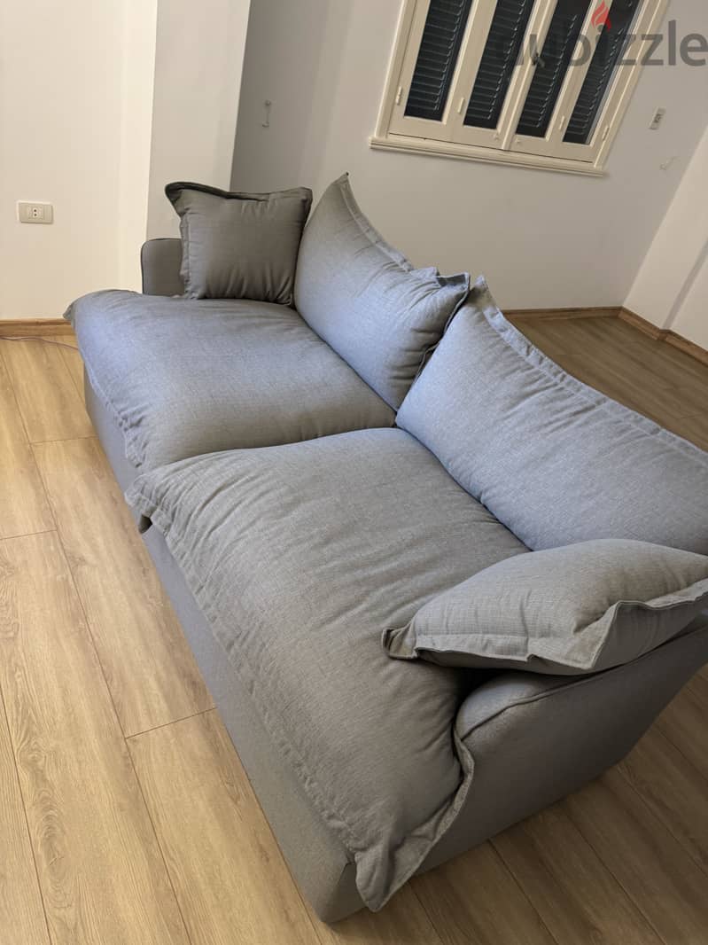 Ariika Haven 2 seater Sofa 1