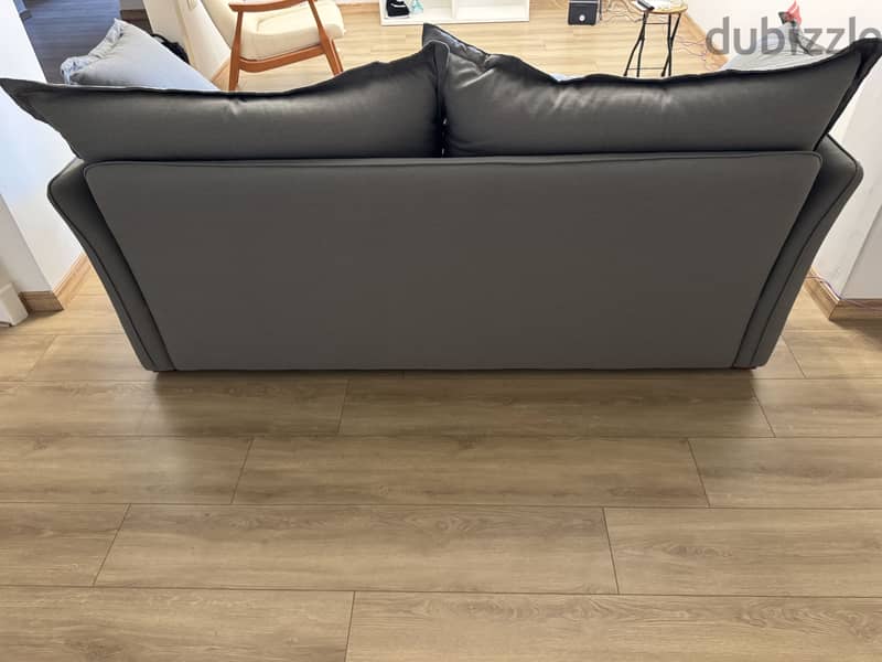 Ariika Haven 2 seater Sofa 2
