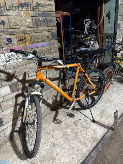 Orange Orbea bick