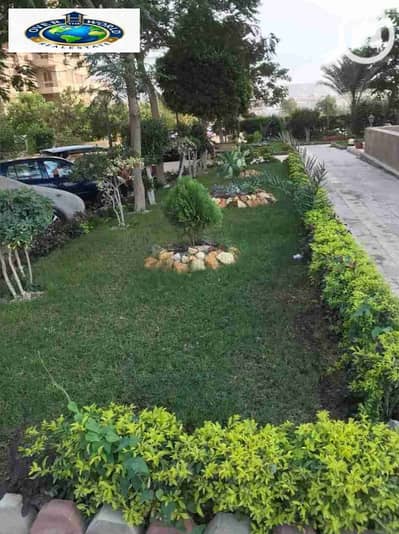 شقة مفروشة للإيجار زهراء المعادي