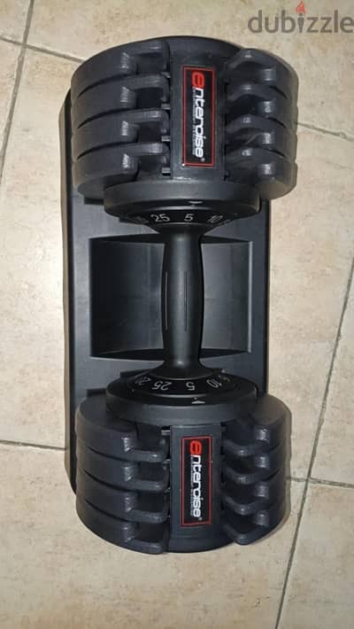 adjustable dumbbell