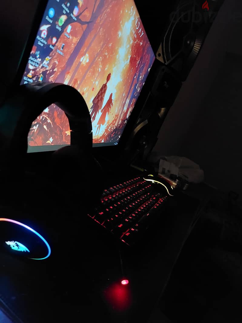 RedDragon ruby 24inch 165hz 5