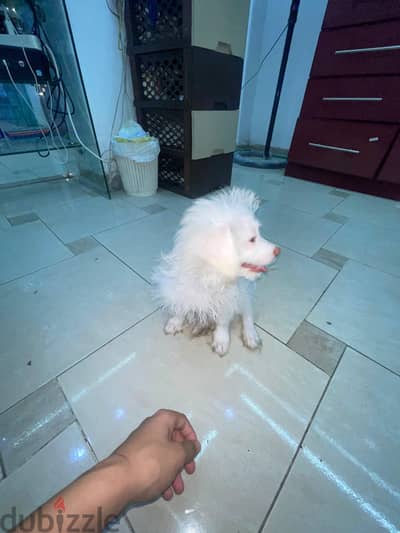 لقطه لقطه للاطفال