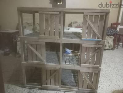 منير حمام