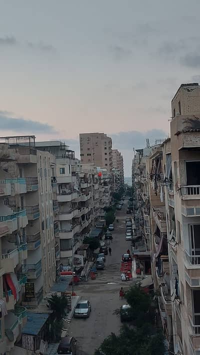 روف دبلكس دورين بالإسكندرية العجمي شطي النخيل ٦اكتوبر الكيلو ٢١ اسكندرية مطروح