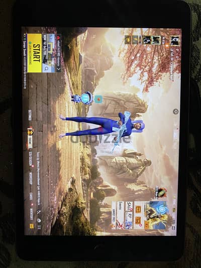 Ipad mini 5