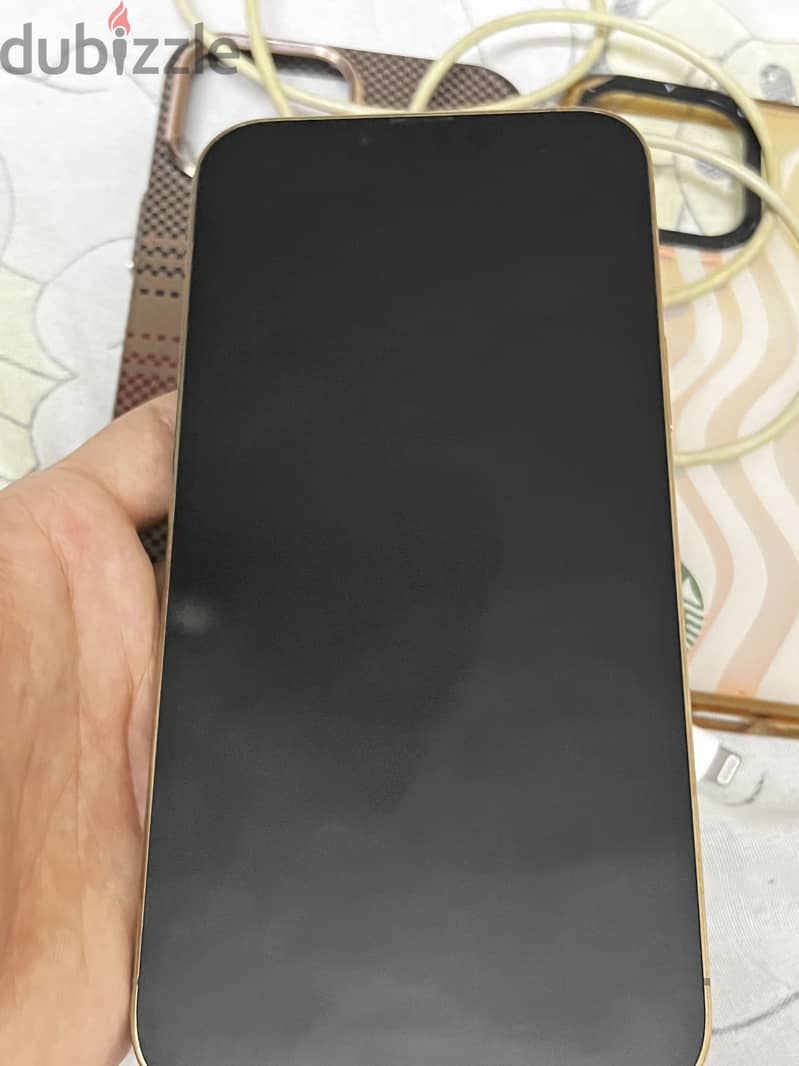 Iohone 13 Pro Max 1