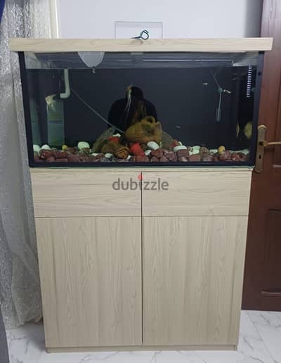 حوض سمك متكامل مميز