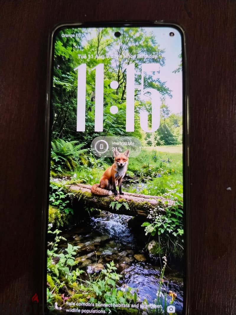 Vivo V30 1