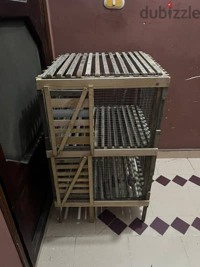 ٣ جوز حمام رمايه و ٢ عين ٦٠×٦٠