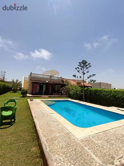 Fallah Brief Bowl Al-Shorouk Village K41 North Coast